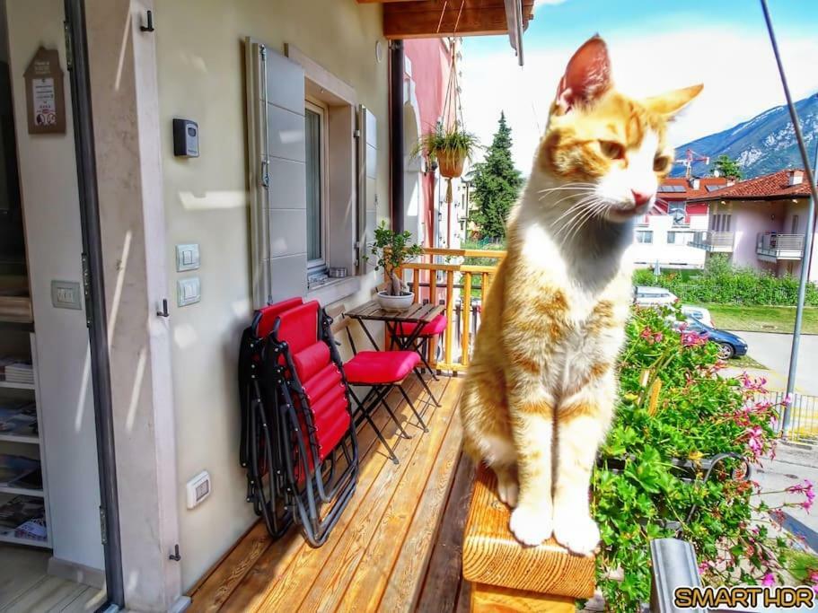 Antica Casa Alboletta - Appartamento Frida Kahlo Riva del Garda Exteriör bild